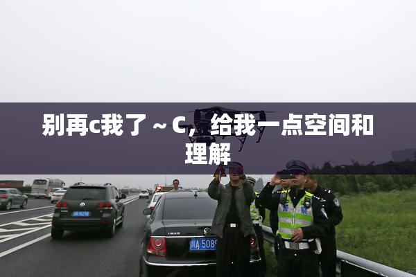 别再c我了～C，给我一点空间和理解