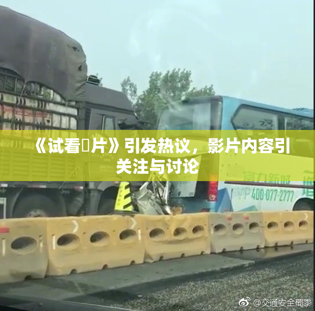 《试看婬片》引发热议，影片内容引关注与讨论