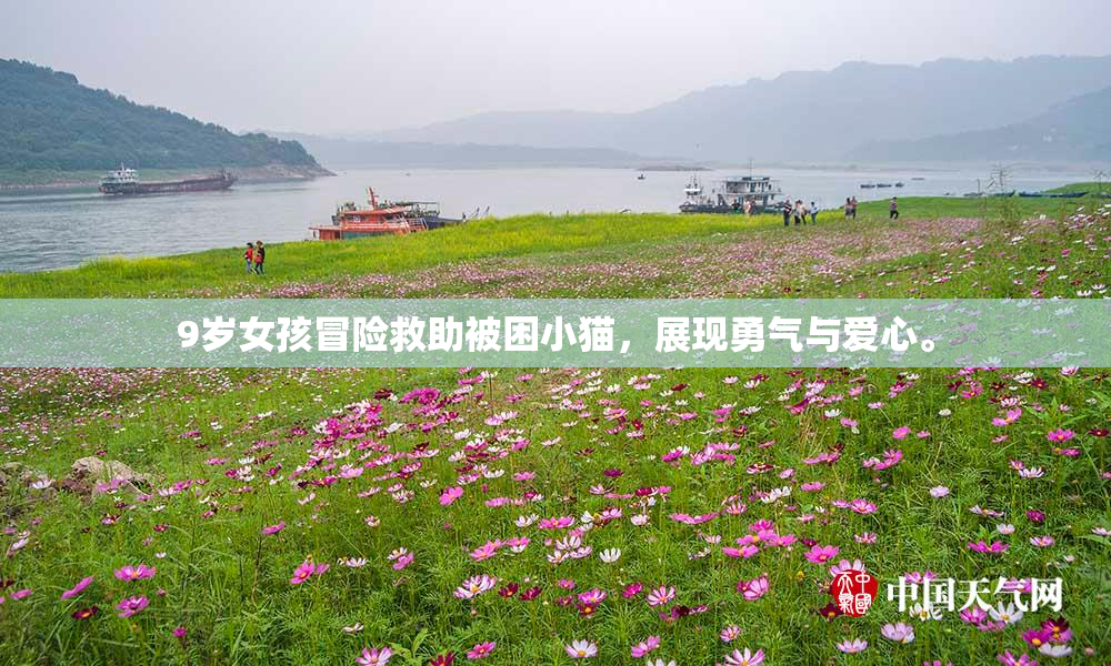 9岁女孩冒险救助被困小猫，展现勇气与爱心。