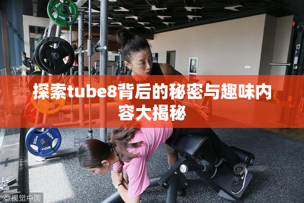 探索tube8背后的秘密与趣味内容大揭秘