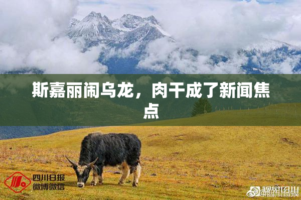 斯嘉丽闹乌龙，肉干成了新闻焦点