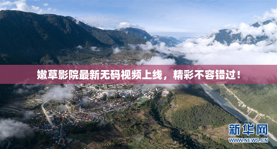 嫩草影院最新无码视频上线，精彩不容错过！