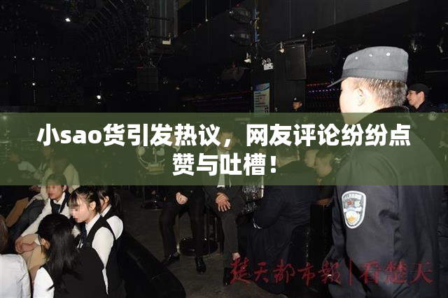 小sao货引发热议，网友评论纷纷点赞与吐槽！