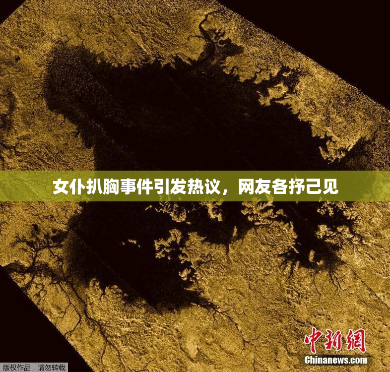 女仆扒胸事件引发热议，网友各抒己见
