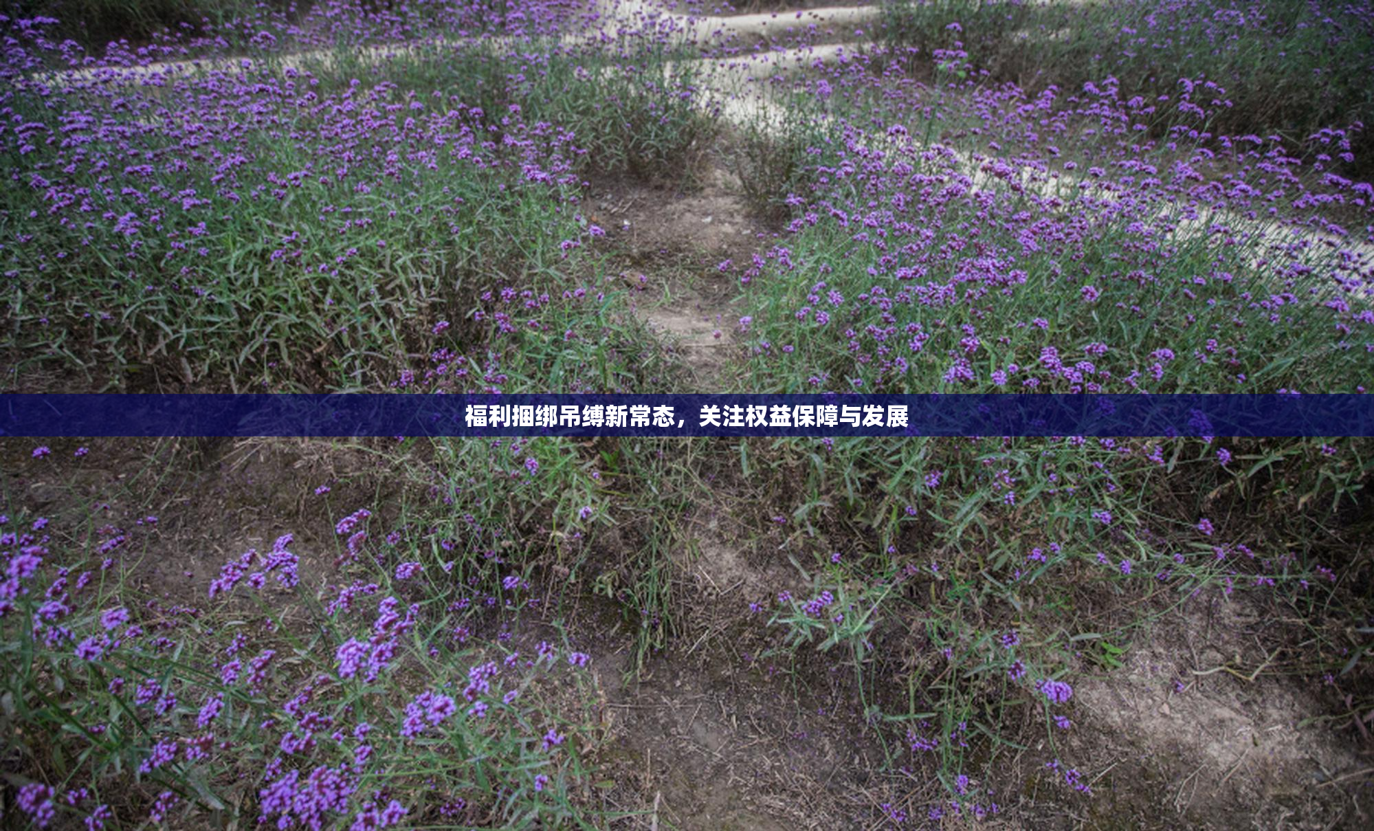 福利捆绑吊缚新常态，关注权益保障与发展