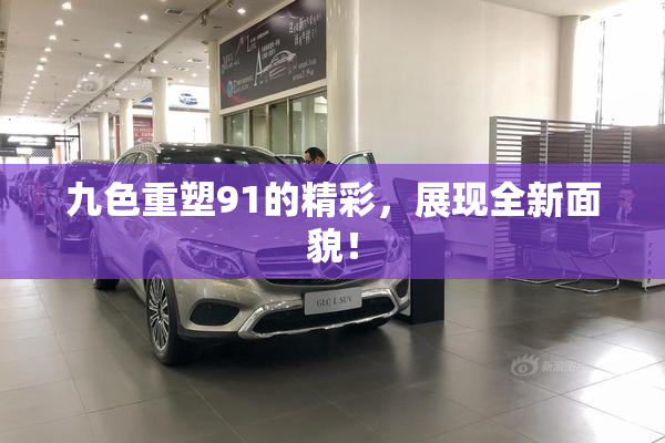 九色重塑91的精彩，展现全新面貌！