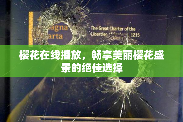 樱花在线播放，畅享美丽樱花盛景的绝佳选择