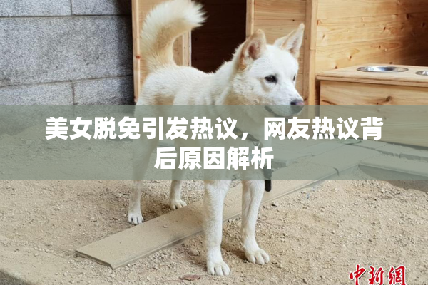 美女脱免引发热议，网友热议背后原因解析
