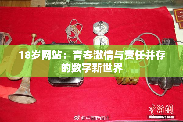 18岁网站：青春激情与责任并存的数字新世界