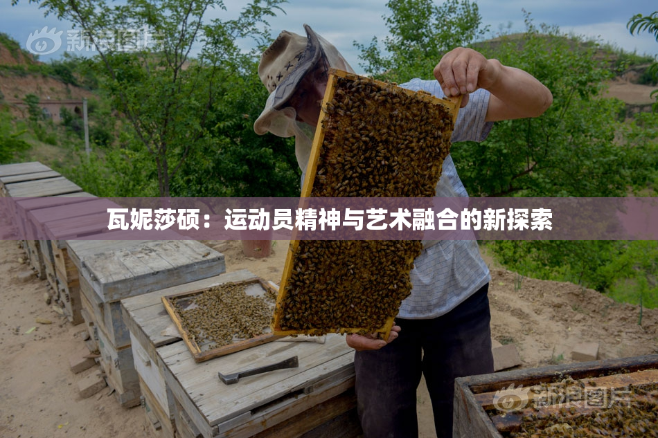 瓦妮莎硕：运动员精神与艺术融合的新探索