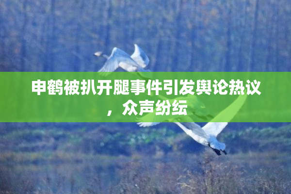 申鹤被扒开腿事件引发舆论热议，众声纷纭