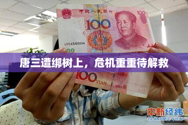 唐三遭绑树上，危机重重待解救