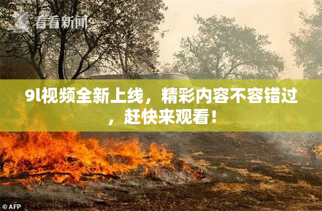 9l视频全新上线，精彩内容不容错过，赶快来观看！