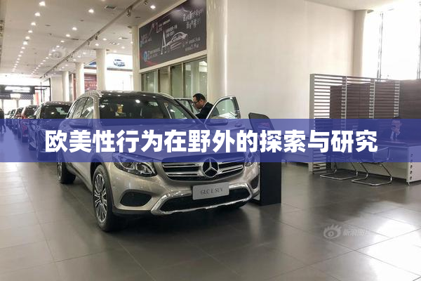 欧美性行为在野外的探索与研究