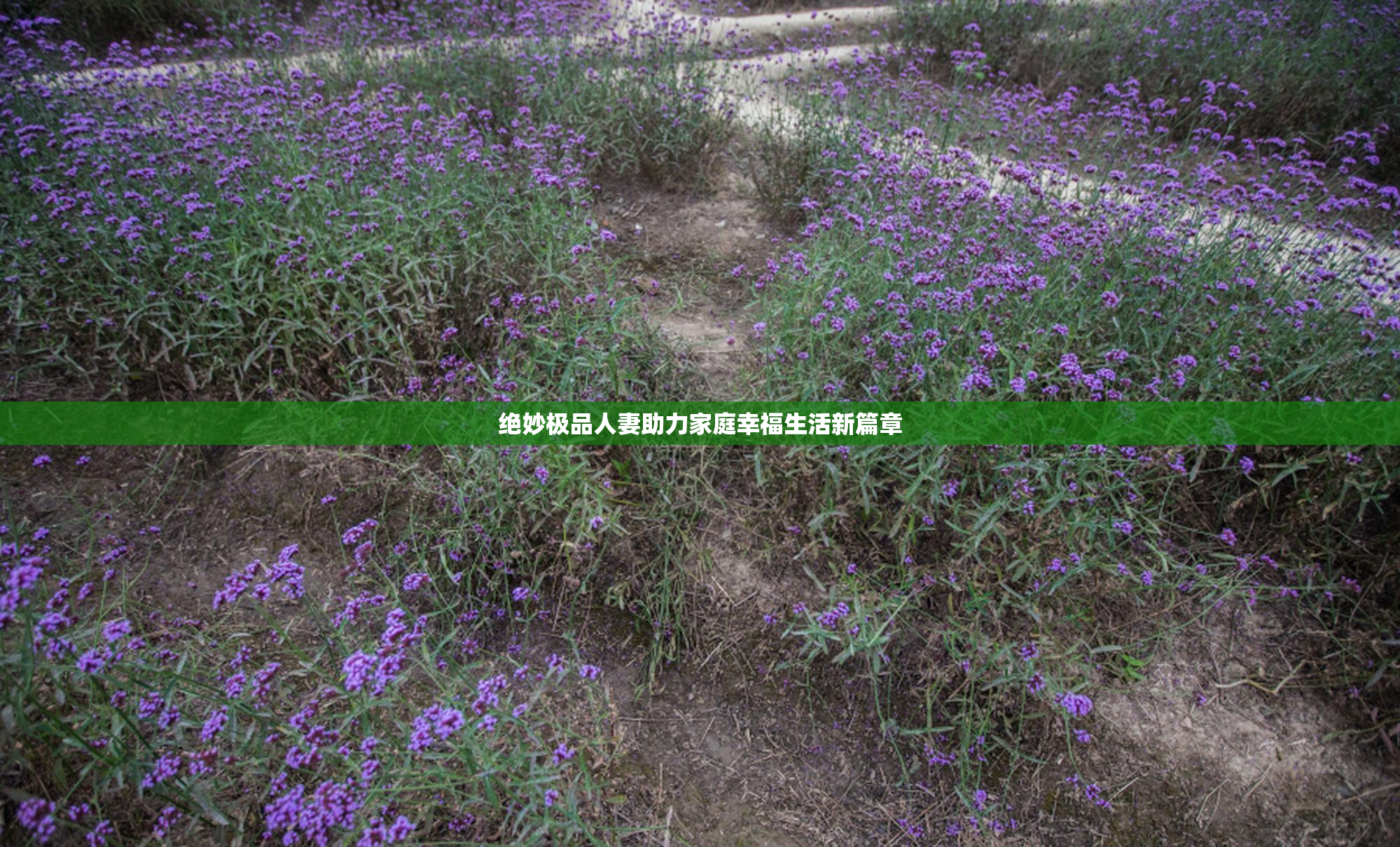 绝妙极品人妻助力家庭幸福生活新篇章