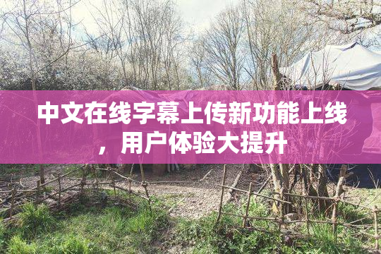 中文在线字幕上传新功能上线，用户体验大提升