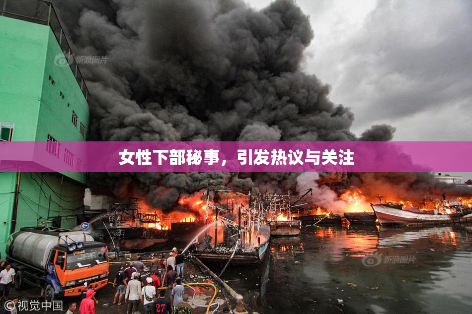 女性下部秘事，引发热议与关注