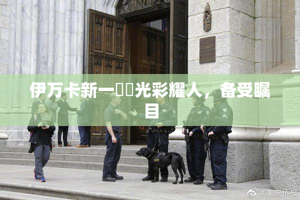 伊万卡新一級黃光彩耀人，备受瞩目