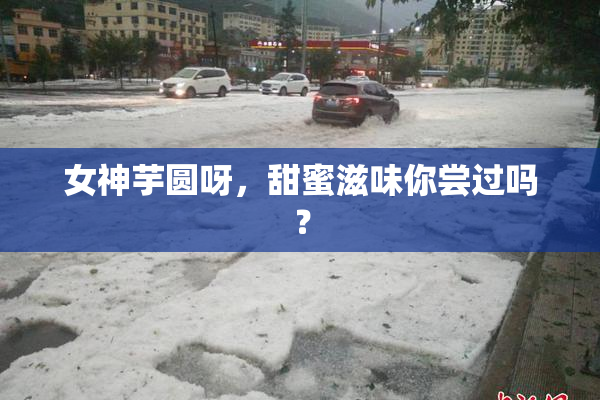 女神芋圆呀，甜蜜滋味你尝过吗？