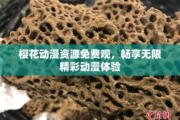 樱花动漫资源免费观，畅享无限精彩动漫体验