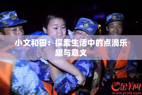 小文和田：探索生活中的点滴乐趣与意义