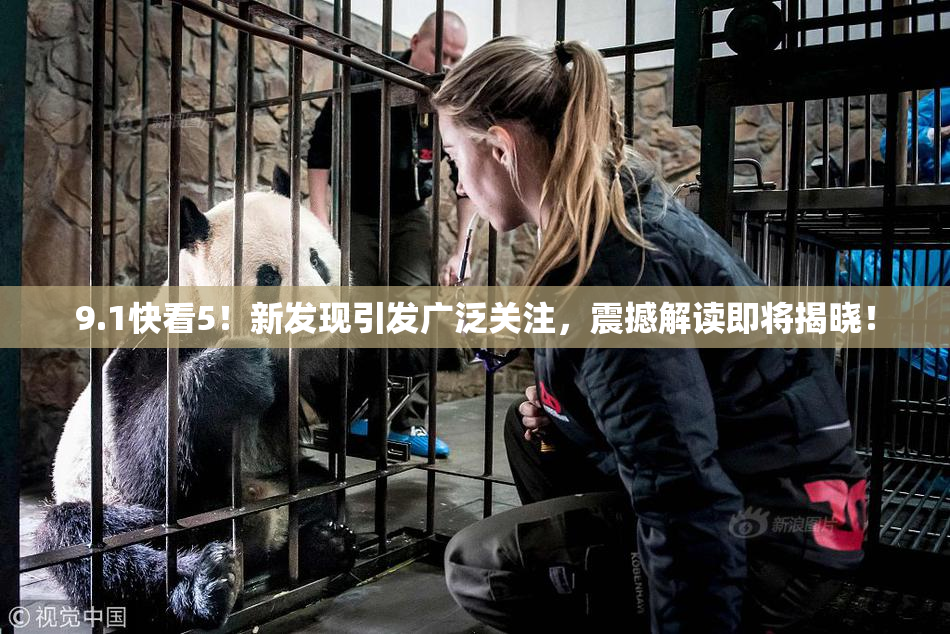 9.1快看5！新发现引发广泛关注，震撼解读即将揭晓！