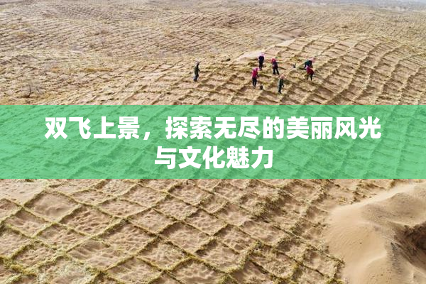 双飞上景，探索无尽的美丽风光与文化魅力