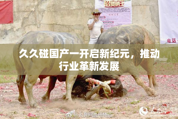 久久碰国产一开启新纪元，推动行业革新发展
