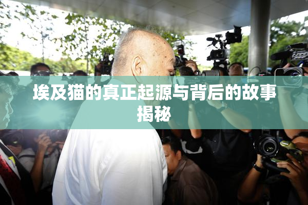 埃及猫的真正起源与背后的故事揭秘