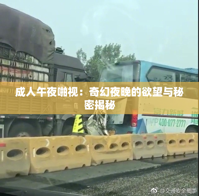 成人午夜啪视：奇幻夜晚的欲望与秘密揭秘