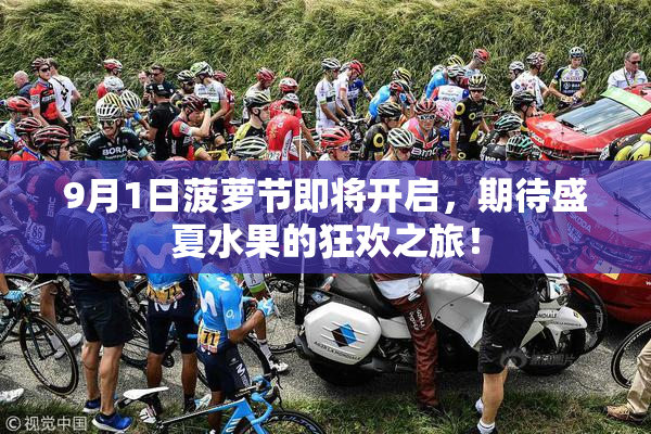 9月1日菠萝节即将开启，期待盛夏水果的狂欢之旅！