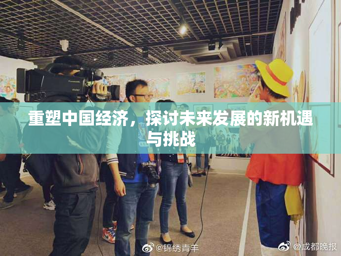 重塑中国经济，探讨未来发展的新机遇与挑战