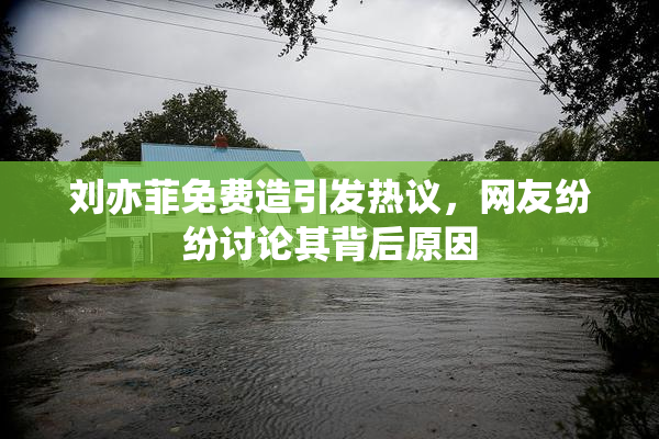 刘亦菲免费造引发热议，网友纷纷讨论其背后原因