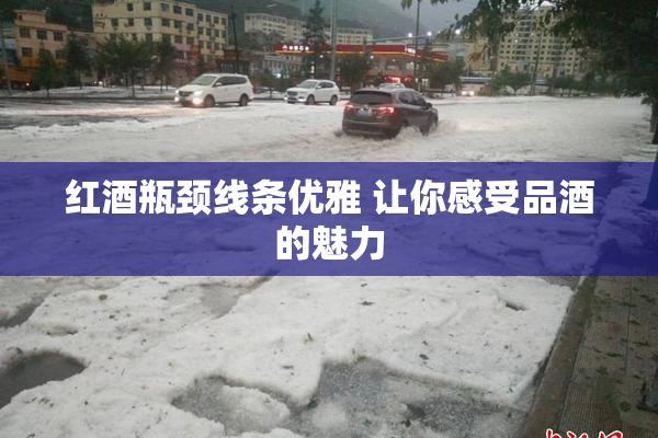 红酒瓶颈线条优雅 让你感受品酒的魅力
