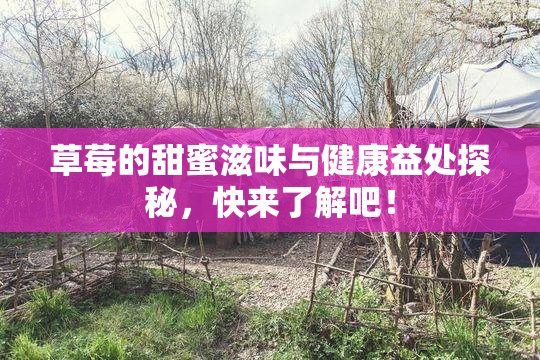 草莓的甜蜜滋味与健康益处探秘，快来了解吧！