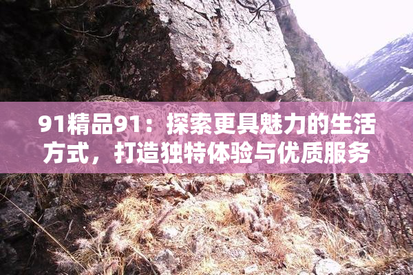 91精品91：探索更具魅力的生活方式，打造独特体验与优质服务
