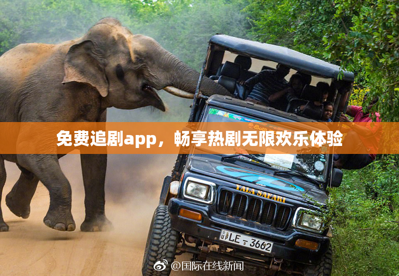 免费追剧app，畅享热剧无限欢乐体验
