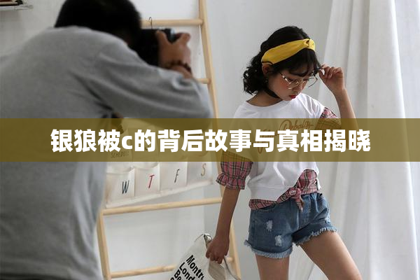 银狼被c的背后故事与真相揭晓