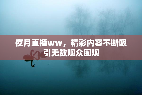夜月直播ww，精彩内容不断吸引无数观众围观