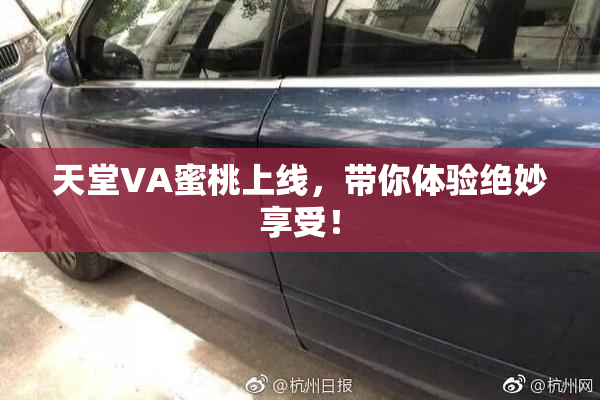 天堂VA蜜桃上线，带你体验绝妙享受！