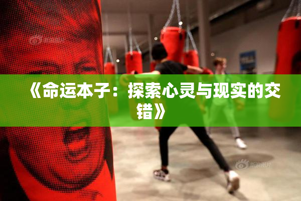 《命运本子：探索心灵与现实的交错》