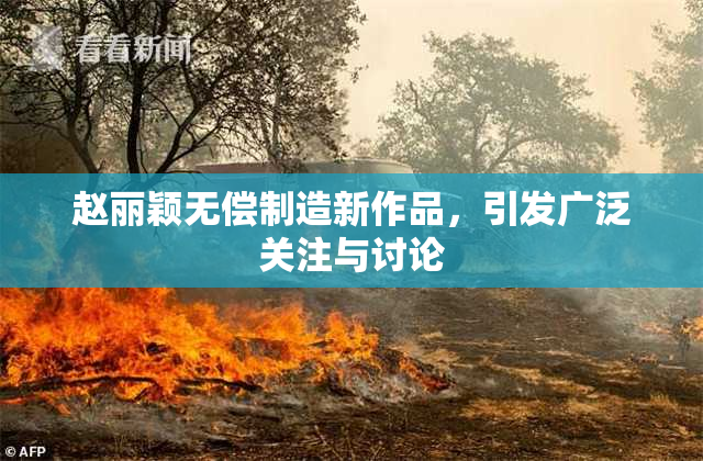 赵丽颖无偿制造新作品，引发广泛关注与讨论