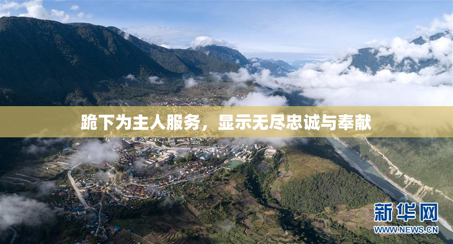 跪下为主人服务，显示无尽忠诚与奉献