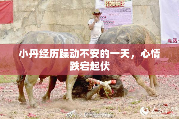 小丹经历躁动不安的一天，心情跌宕起伏