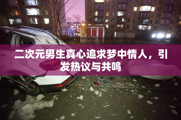 二次元男生真心追求梦中情人，引发热议与共鸣
