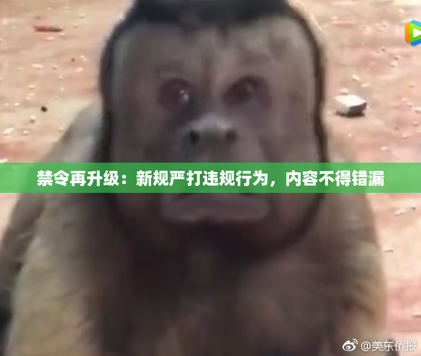禁令再升级：新规严打违规行为，内容不得错漏