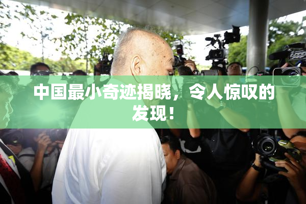 中国最小奇迹揭晓，令人惊叹的发现！