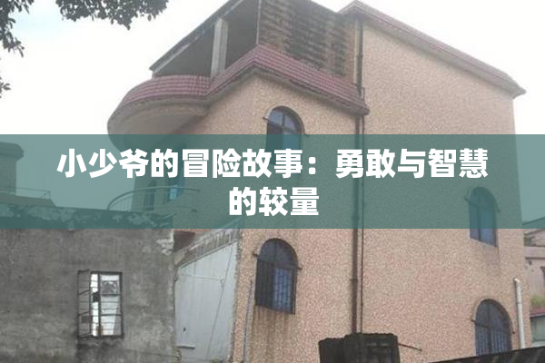 小少爷的冒险故事：勇敢与智慧的较量