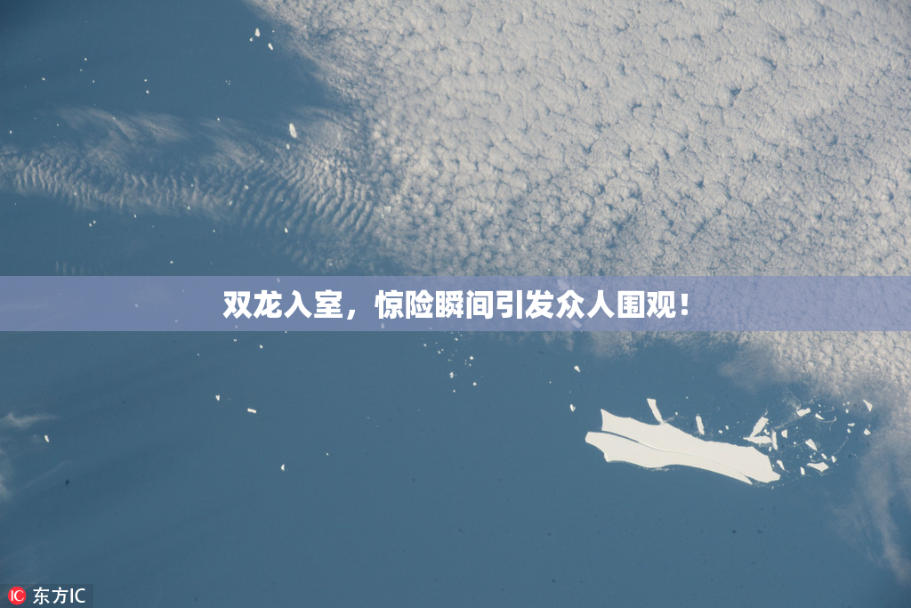 双龙入室，惊险瞬间引发众人围观！