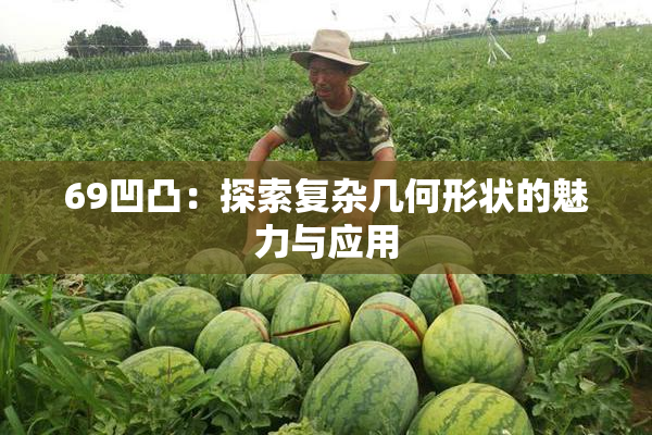69凹凸：探索复杂几何形状的魅力与应用